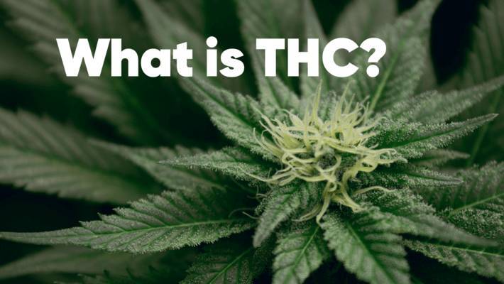 What Is Thc 3