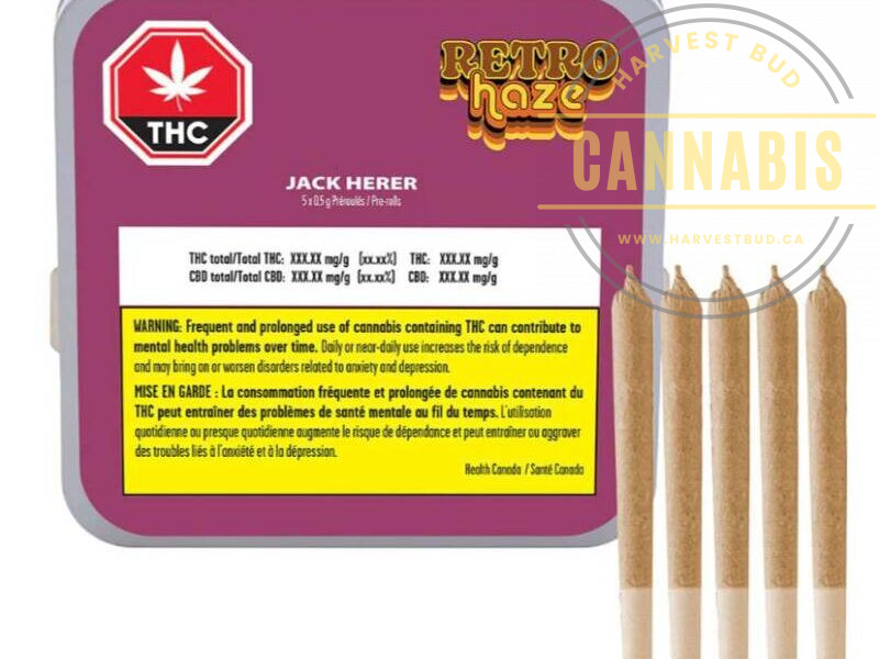 Retro Haze Jack Herer Preroll, 5 pack of 0.5 gram prerolls.