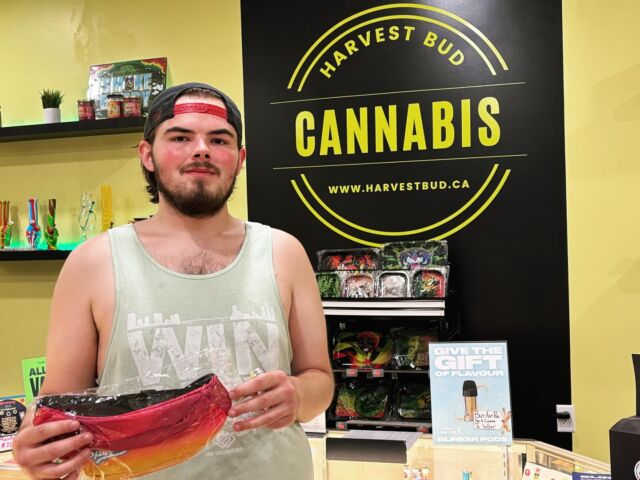 Thank you for supporting locally owned small businesses. We will be giving away from our customer appreciation. Our winner from the pick 😁 🥳 🎉  #harvestbud #bestbuds #customerappreciation @brokencoast.ca #windsorontario #universityofwindsor #giveawaywinner #storegiveaway #giveaway  #420 @harvestbud.ca #universityofwindsor #windsorgiveaway @spinachwithfriends  www.harvestbud.ca